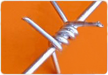 Barbed wire